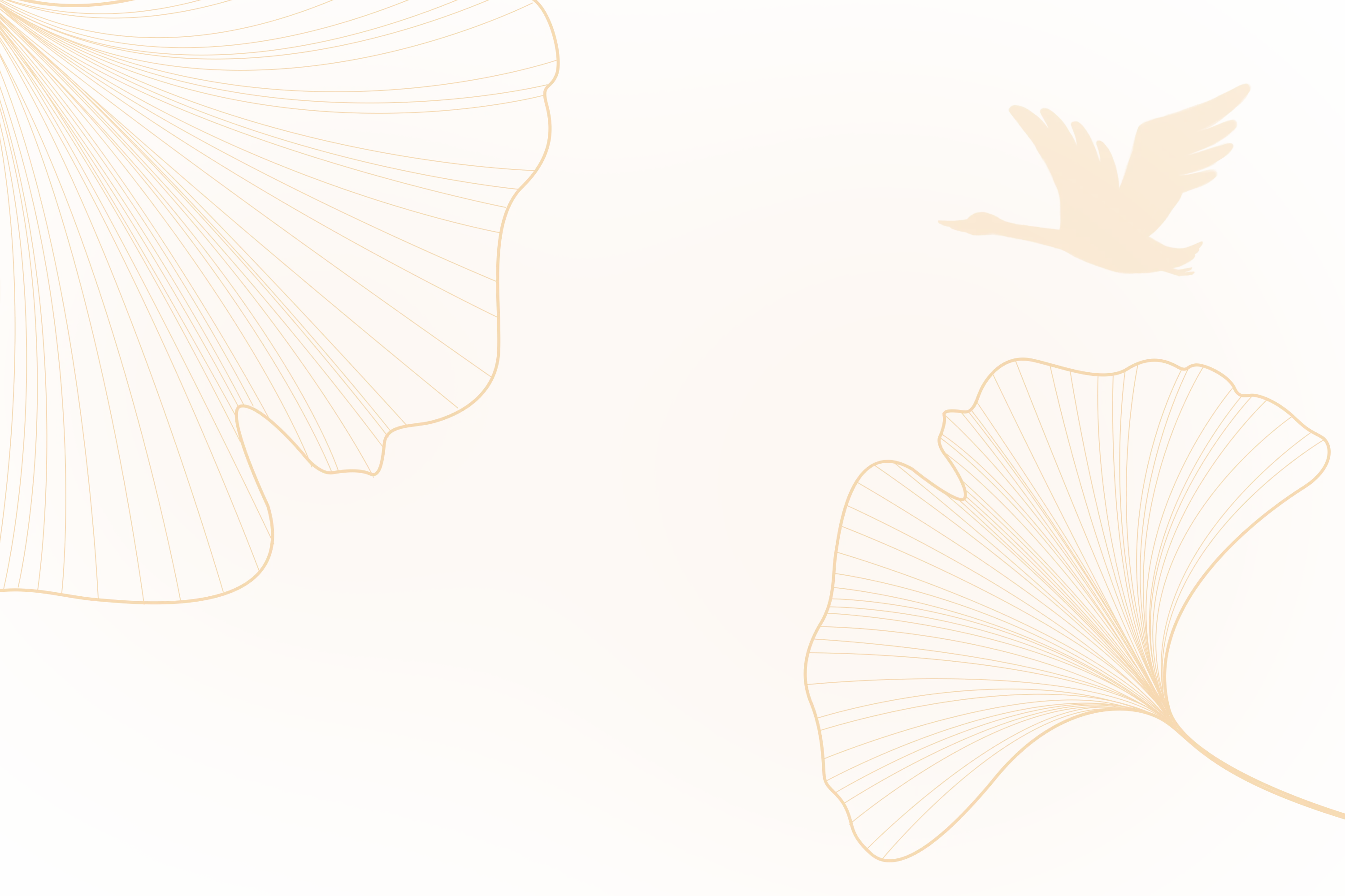 20240801.webp