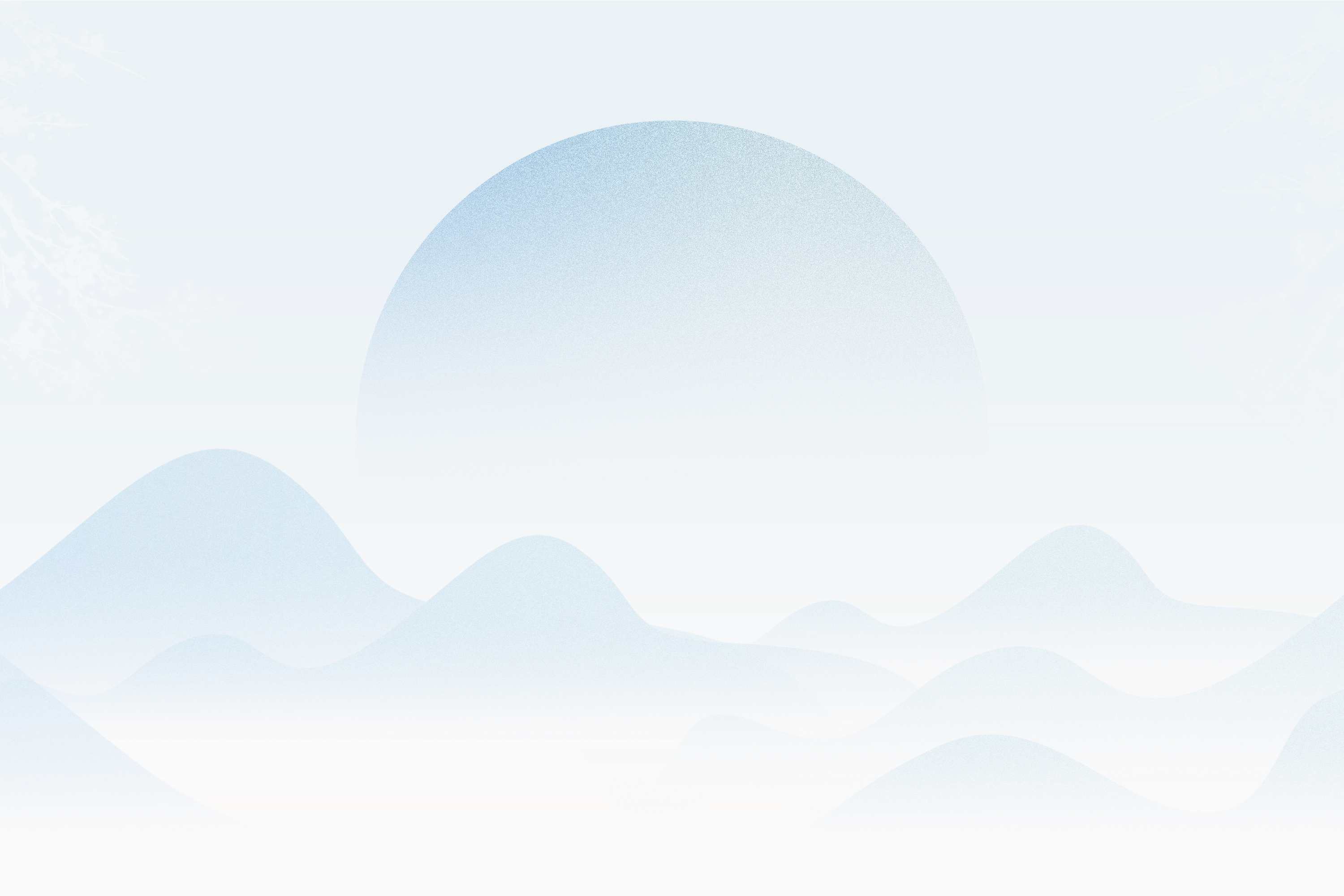 20241030.webp